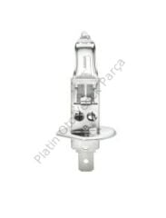 AMPUL ECO H1 55W (SIS VE FAR AMPULU)