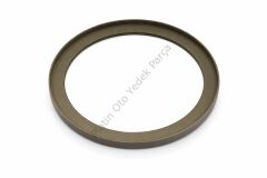 ABS OKUYUCU HALKA ARKA DISK KANGOO III 432025057R