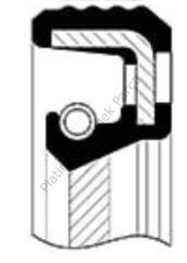 KECE AKS ON R11 R21 KANGO EXPRESS 1.9D MEGANE 2.0 7703087148