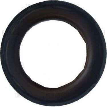 EKSANTRIK KECESI CLIO KANGO MEGANE LOGAN (28X42X5) 13510-00Q0B 7701478550 130429913R