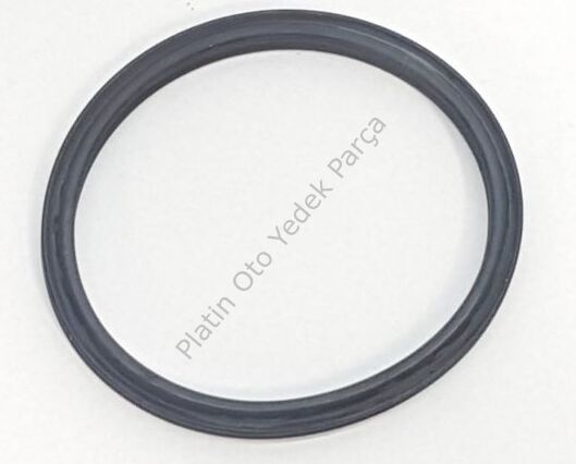 ORING CONTA 7701072003