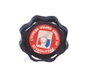 MOTOR YAG KAPAGI R12 7700644083