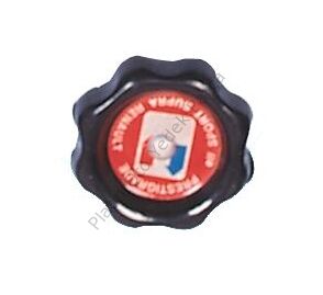 MOTOR YAG KAPAGI R12 7700644083