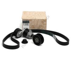 KANALLI V KAYIS SETI 0.9 1.2 CAPTUR CLIO IV MEGANE III KADJAR KANGOO SCENIC III SYMBOL II 117203336R