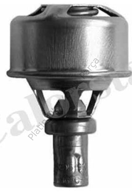 TERMOSTAT 75C R12 7701348375