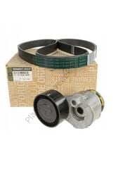 V KAYISI VE GERGI RULMANI KUTUKLU SET CLIO III KANGO MEGANE II MODUS 1.5DCI K9K 117203694R