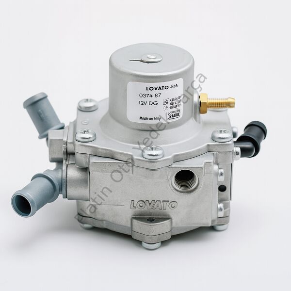 LPG DEDANTORU (GAZ BEYNI) SANDERO 163103150R