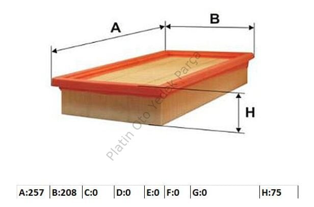 HAVA FILTRESI TRAFIC II 165461783R