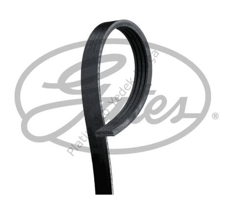 KANALLI KAYIŞ CLIO V TALIANT SANDERO II SANDERO II 117205934R 117206588R 8201712784