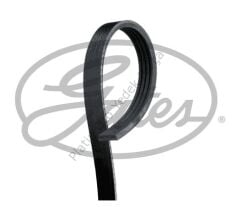 KANALLI KAYIŞ CLIO V TALIANT SANDERO II SANDERO II 117205934R 117206588R 8201712784