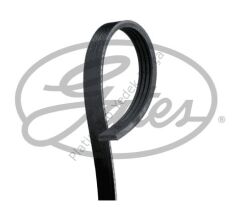 KANALLI KAYIŞ CLIO V TALIANT SANDERO II SANDERO II 117205934R 117206588R 8201712784